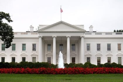 ufc white house