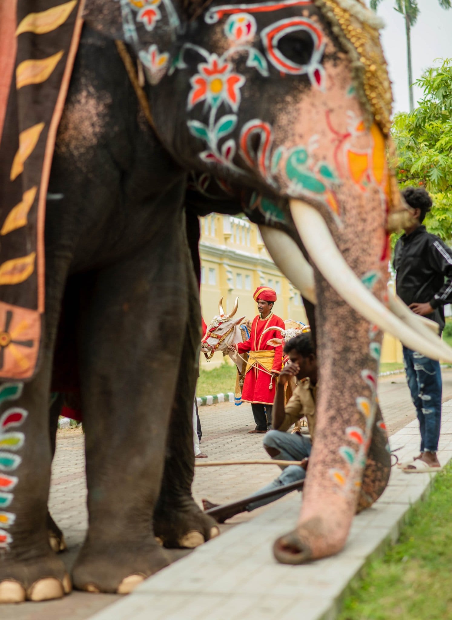 mysore dasara 2025 program list